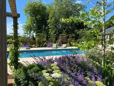 Oak pergola in Sussex Garden Design. Summerhouse design. Swimming pool. Paved terrace. Trees from Griffin Nurseries. Planting Design. Garden designer Sussex