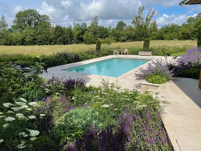 Swimming Pool. Meadow planting. Sussex Garden Design. Terrace design. Nepeta. Ammi visage. Lavender. Planting plans.