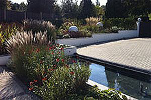 Water rill